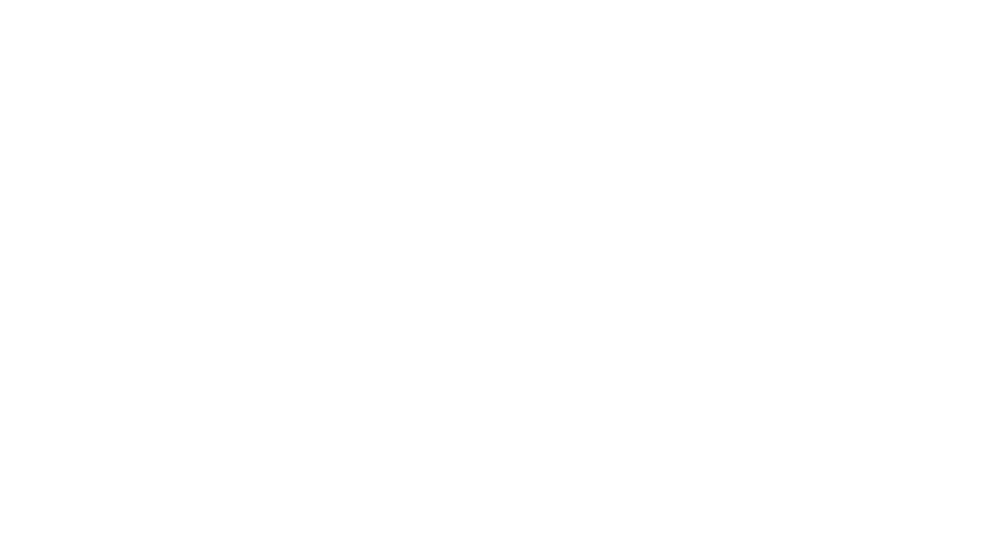 Boston Synchro Swim